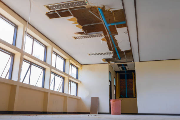 Best Local water damage restoration  in Meadowdale, WA