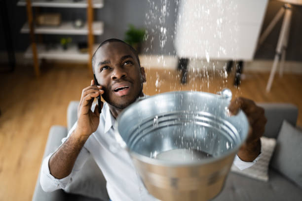 Carpet water damage restoration in Meadowdale, WA