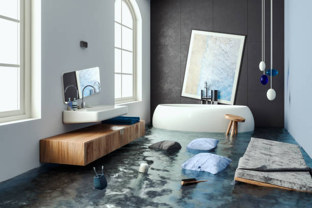 Best Flooded house restoration  in Meadowdale, WA