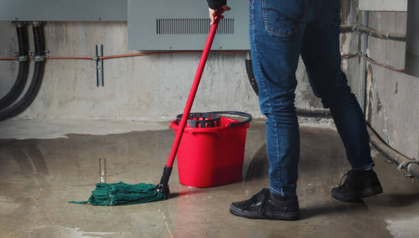 Meadowdale, WA Water damage restoration Company