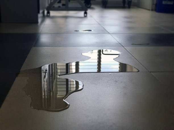Best 24-hour water damage restoration  in Meadowdale, WA