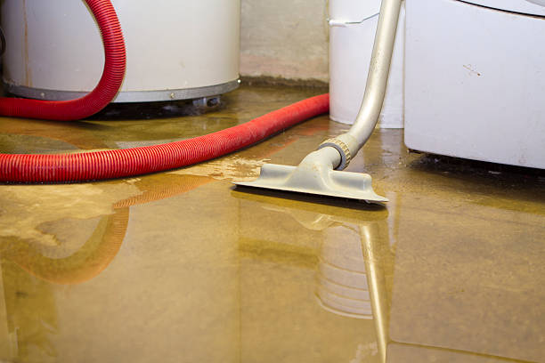 Best Fire Damage Restoration  in Meadowdale, WA