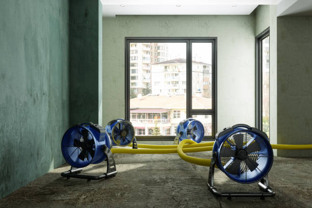 Best Water damage restoration near me  in Meadowdale, WA