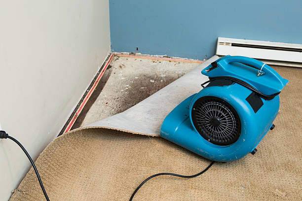 Best Water damage contractors near me  in Meadowdale, WA